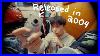 I_Stole_My_Dad_S_Vintage_Digicam_To_Create_This_Video_01_ww
